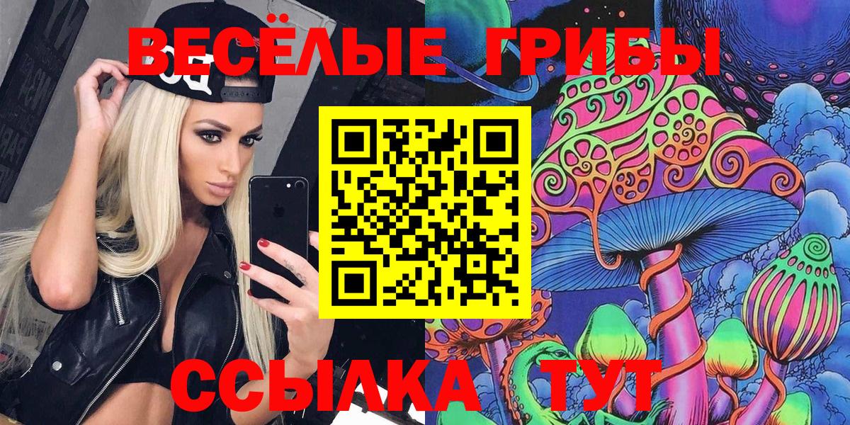 Гусиноозёрск  Галлюциногенные грибы MAGIC MUSHROOMS  Вход с VPN 
