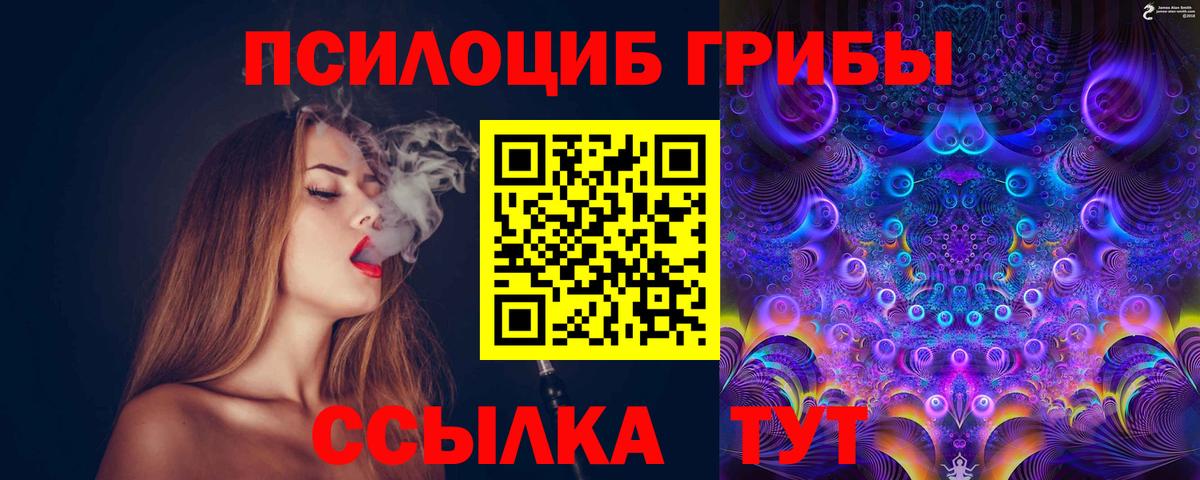 Галлюциногенные грибы мухоморы Гусиноозёрск